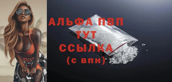 скорость Вяземский