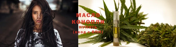 скорость Вяземский