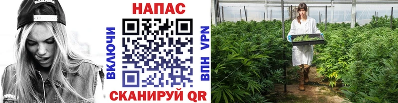 МАРИХУАНА THC 21% наркотики Коломна
